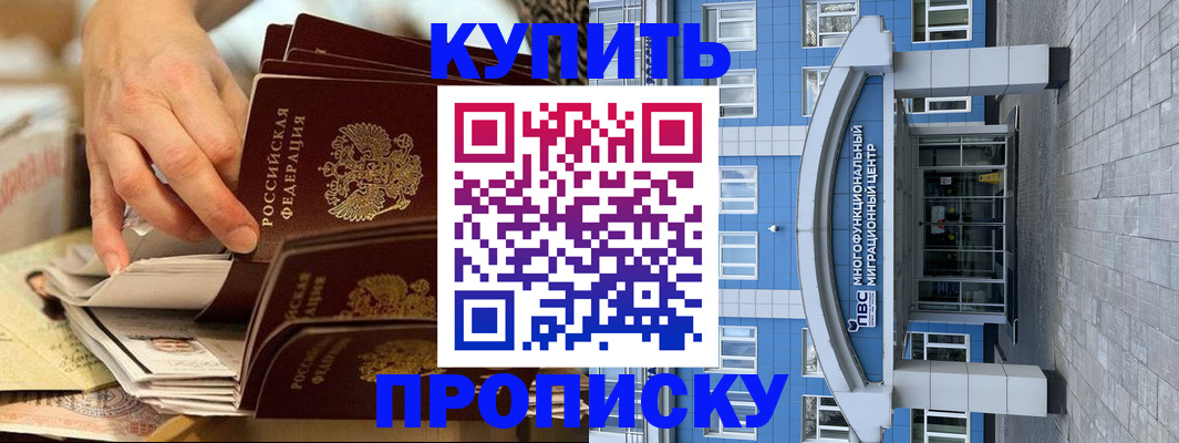 прописка гарантия в Бийске